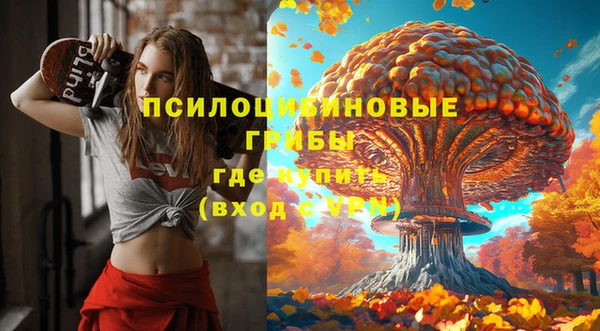 гидра Вяземский