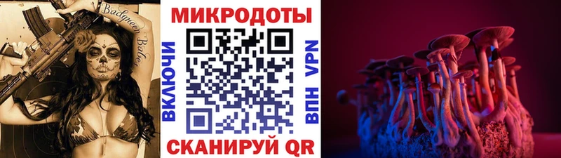 Псилоцибиновые грибы Psilocybe Пошехонье