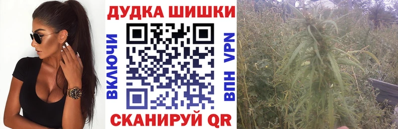 Конопля ГИДРОПОН  купить наркотик  MEGA как войти  Пошехонье 